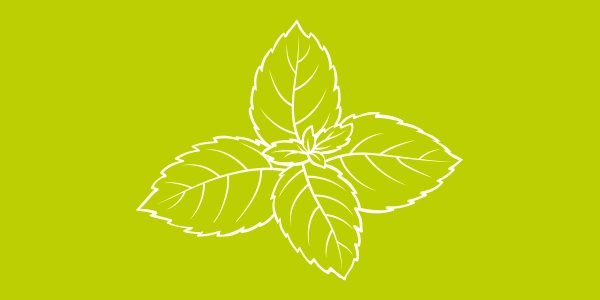 Rezept - Grüner Reissalat mit Gurke und Minze