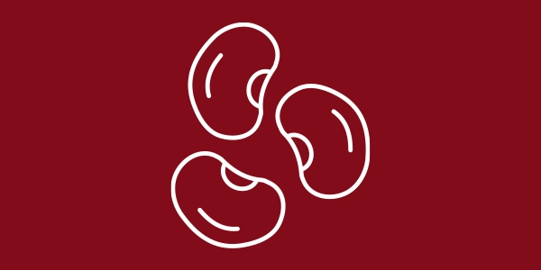 Rezept - Kidneybohnenaufstrich
